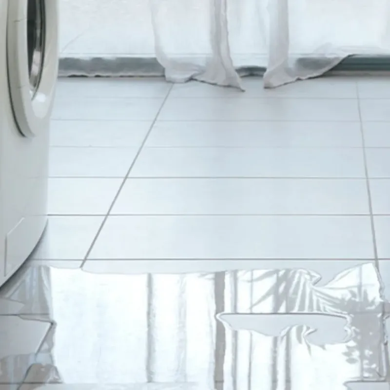 Appliance Leak Cleanup in San Diego Country Estates, CA