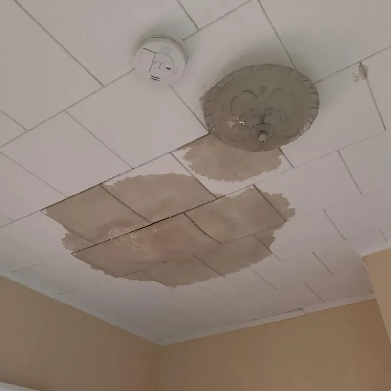 Ceiling Water Damage Repair in San Diego Country Estates, CA