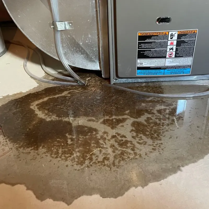 Pipe Burst and Leak Restoration in San Diego Country Estates, CA